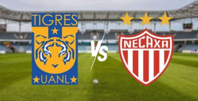 ⚡️Tigres vs Necaxa DONDE VER EN VIV⚽️ ONLINE HORA Y FECHA | Liga MX⚽️ ⚡️Tigres vs Necaxa DONDE VER EN VIV⚽️ ONLINE HORA Y FECHA | Liga MX⚽️
